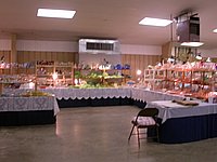 01.jpg