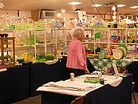 06.jpg