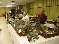 05.jpg