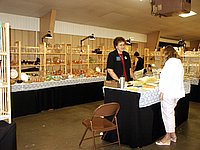 07.jpg